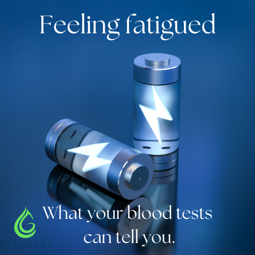 Feeling fatigued – MyBloods