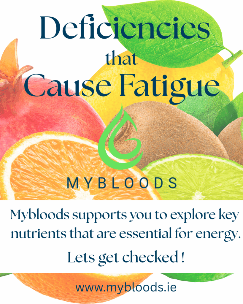 Discover the key vitamin and mineral deficiencies that cause fatigue, how to restore your energy through diet and supplements, and the benefits of a nutritional blood test with Mybloods.
